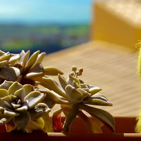 Bed & Breakfast Le Vie Di Girgenti