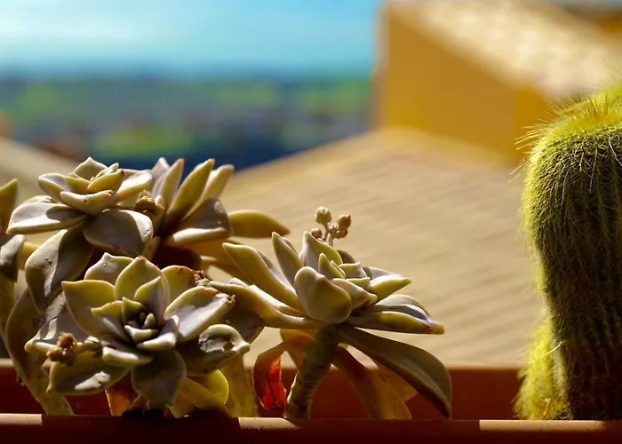 Bed and breakfast Le Vie Di Girgenti